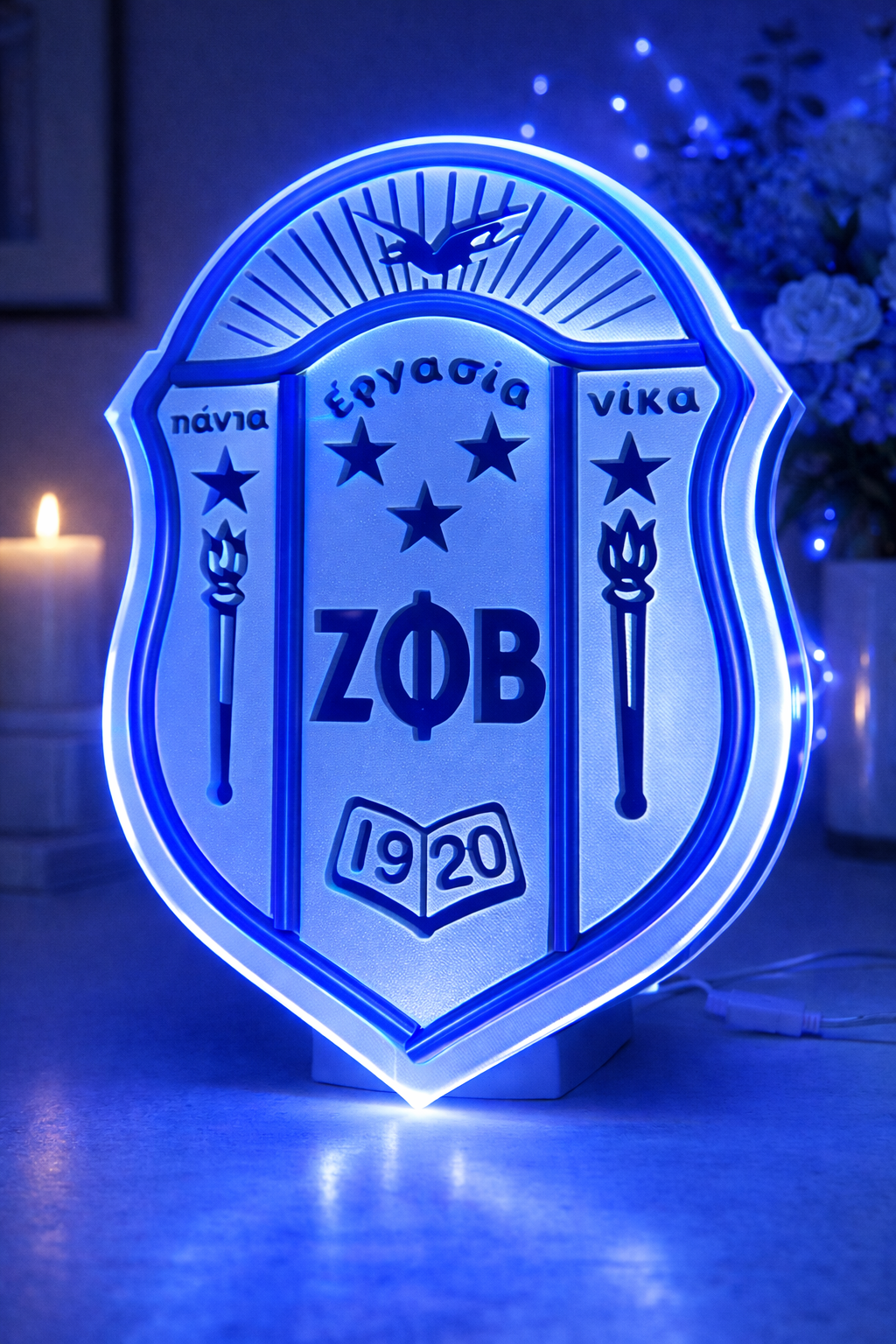 Led Zeta Shield